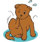 index_clip_image002_0005