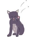 index_clip_image004_0000