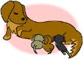 index_clip_image001_0000